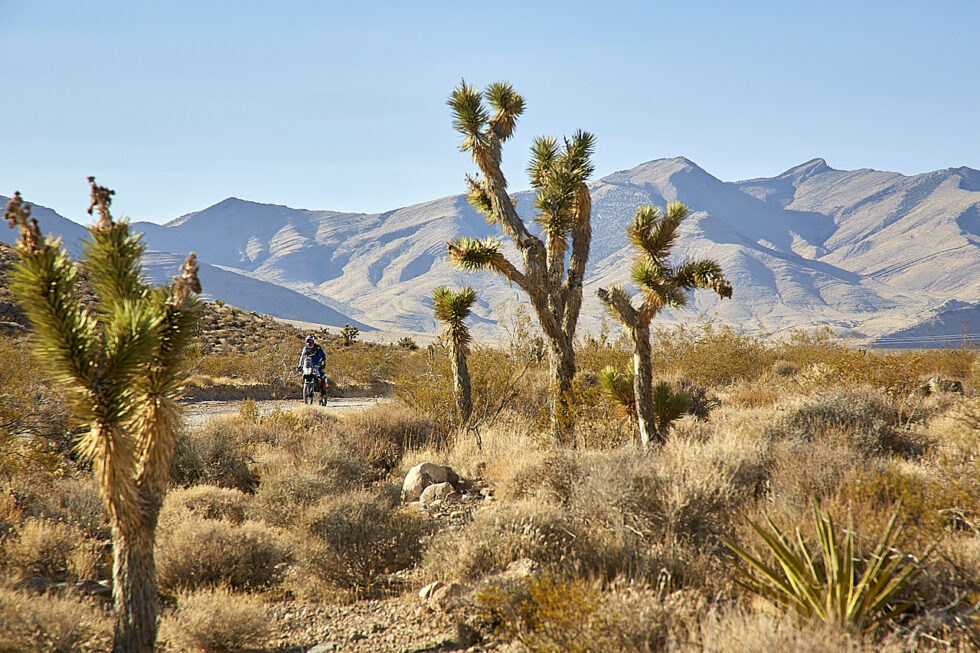 moto trails usa california